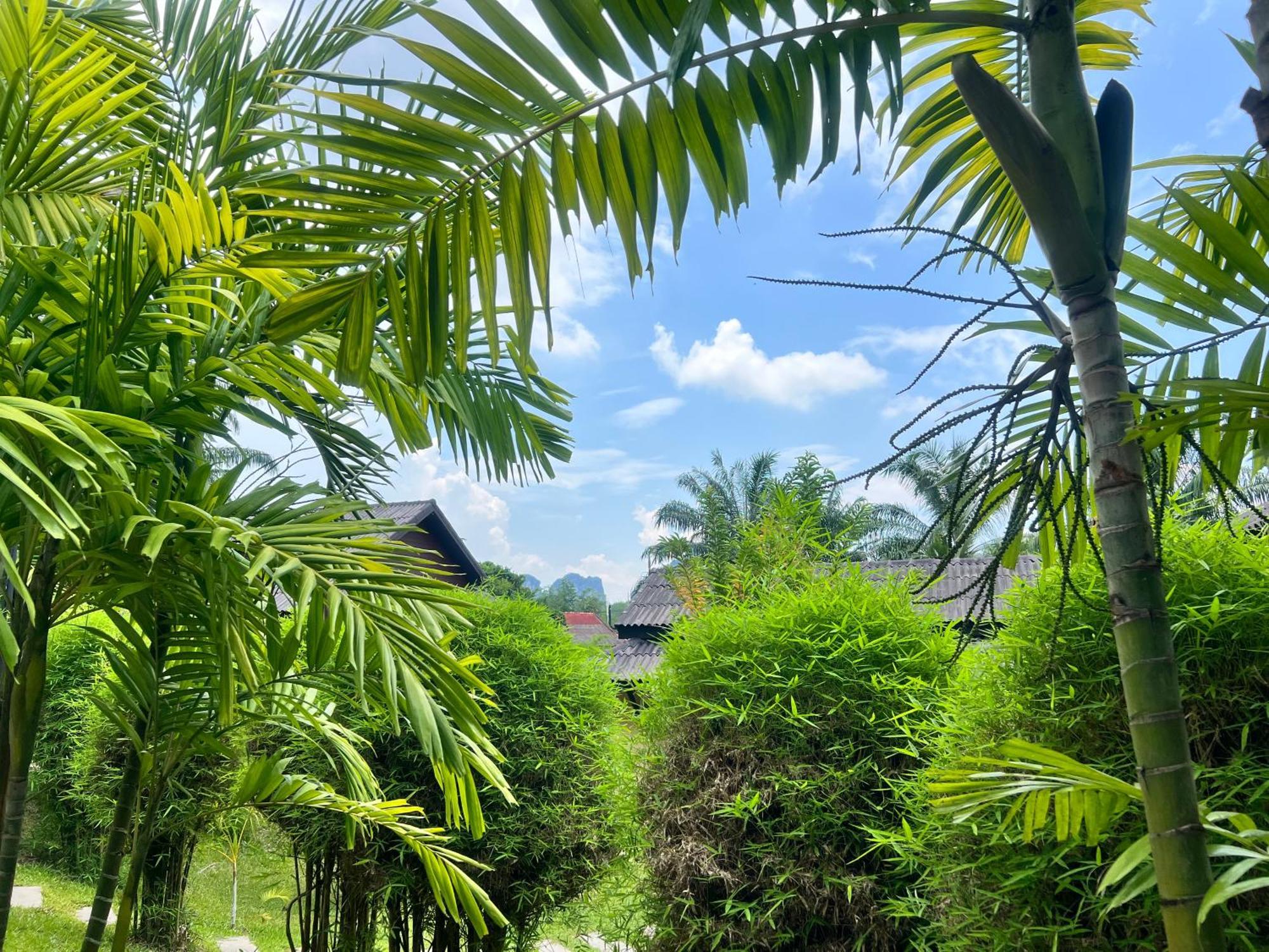 Palm Kiri Aonang Resort Ao Nang Bagian luar foto