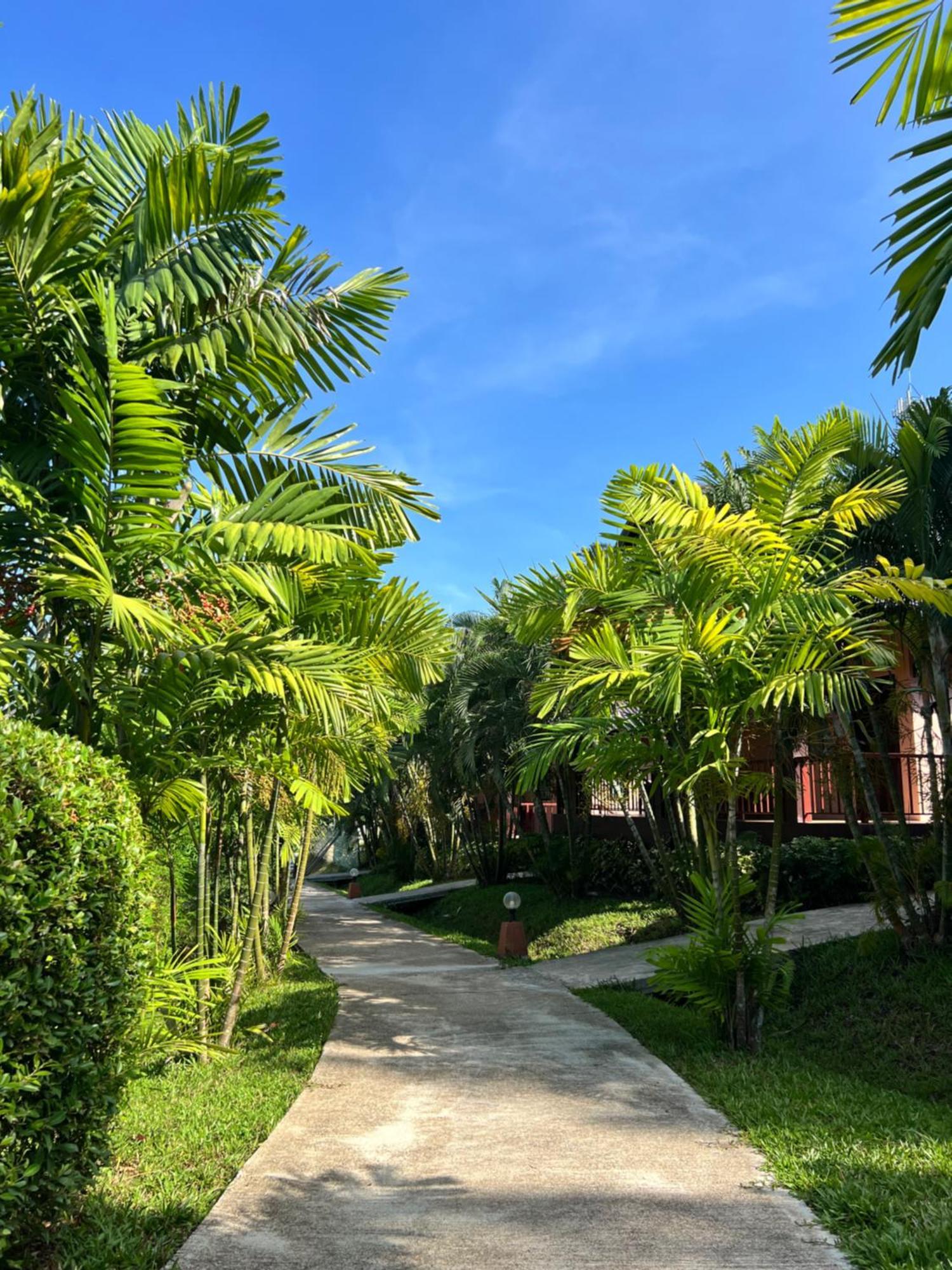 Palm Kiri Aonang Resort Ao Nang Bagian luar foto